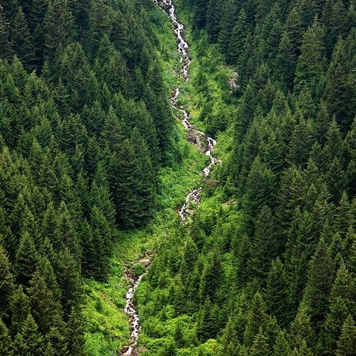 Altındere Valley National Park Trabzon