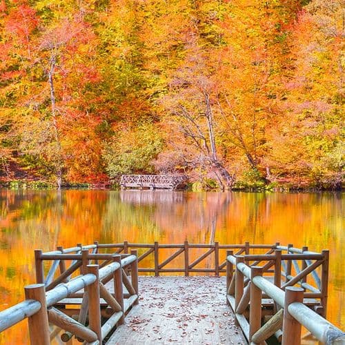 Lake Yedigöller National Park Bolu