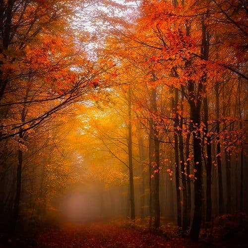 Lake Yedigöller National Park Bolu
