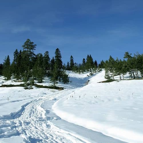 Mount Ilgaz National Park Kastamonu