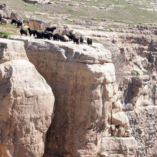 Botan Valley National Park Siirt