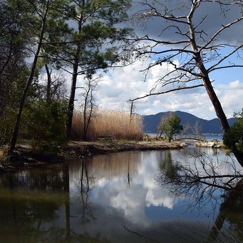 Günnücek National Park Marmaris Muğla