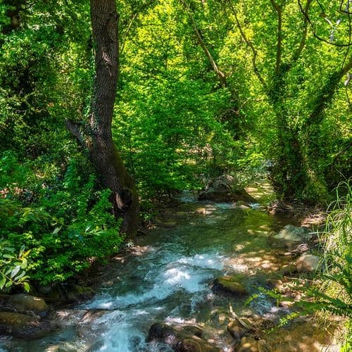 Marmaris National Park Muğla