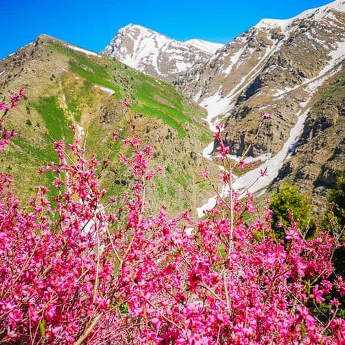 Cilo National Park Hakkari