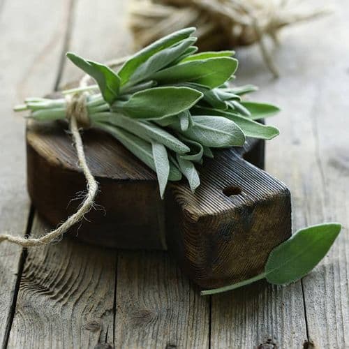 Sage