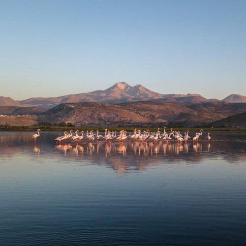 Sultansazlığı National Park Kayseri