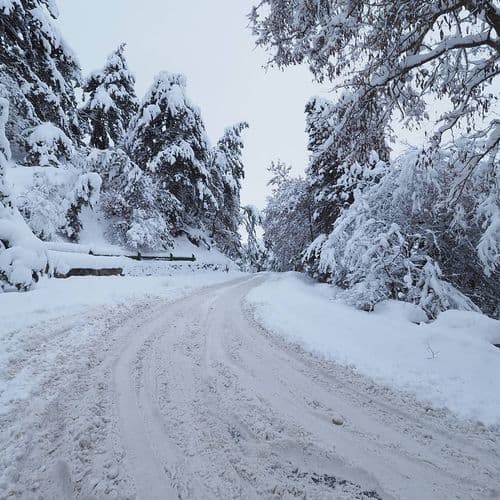 Yozgat Çamlık Milli Parkı