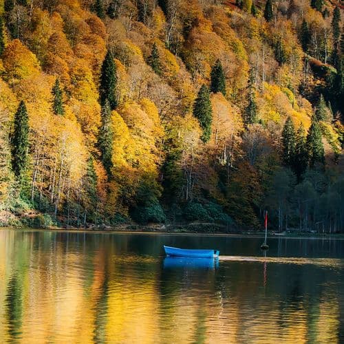 Borçka Karagöl Artvin