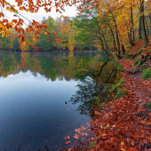 Lake Yedigöller Bolu